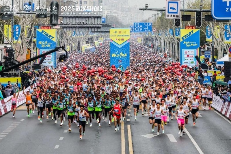 君創(chuàng)Portfolio|雙城燃戰(zhàn)春光 康比特能量護(hù)航